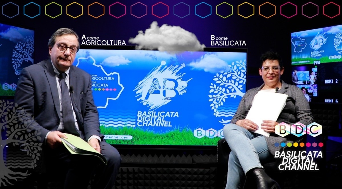 A COME AGRICOLTURA B COME BASILICATA: DONATO DISTEFANO DIREZIONE NAZIONALE CIA